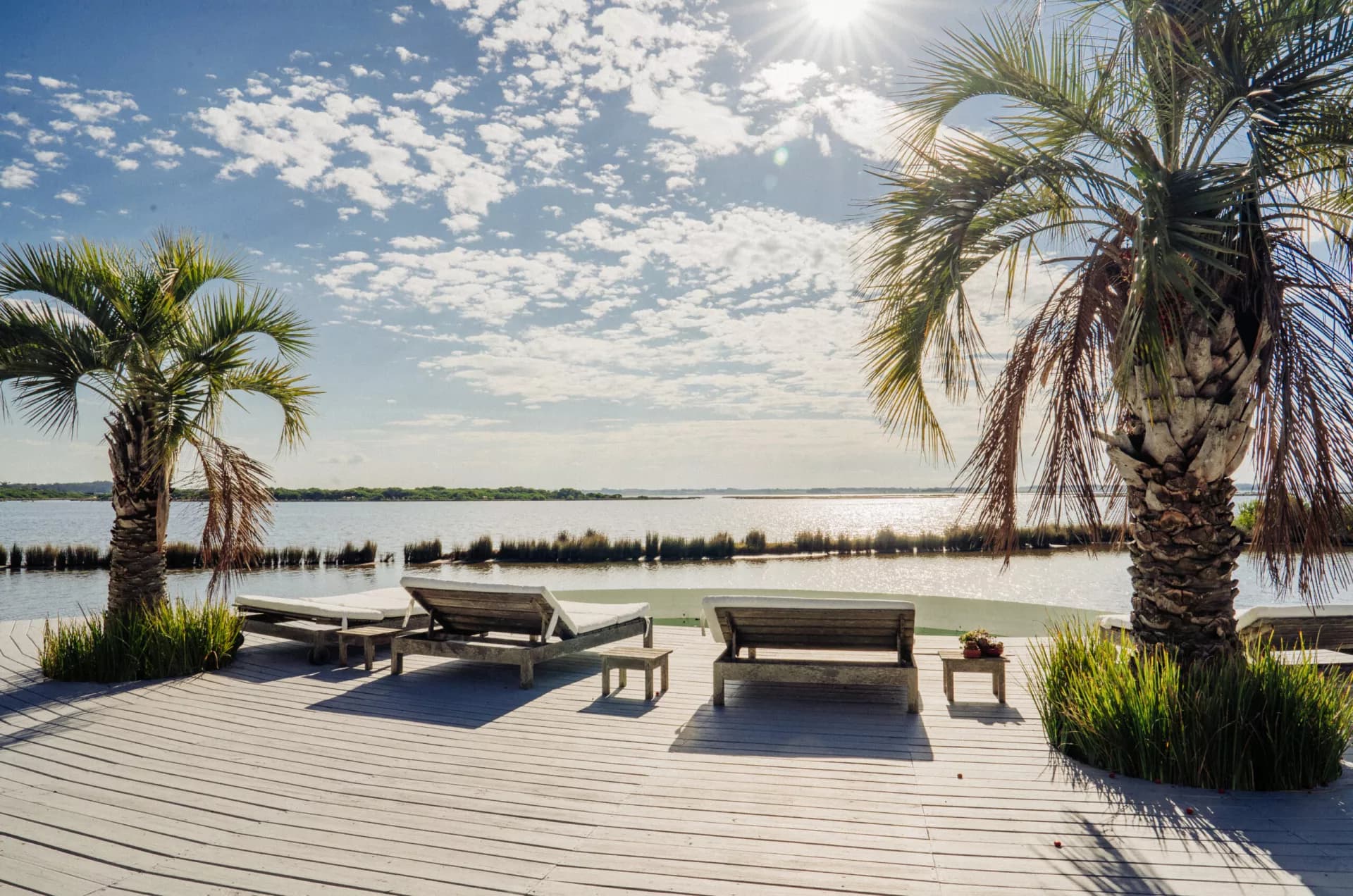SM17781 - Los Seibos - Laguna Jose Ignacio