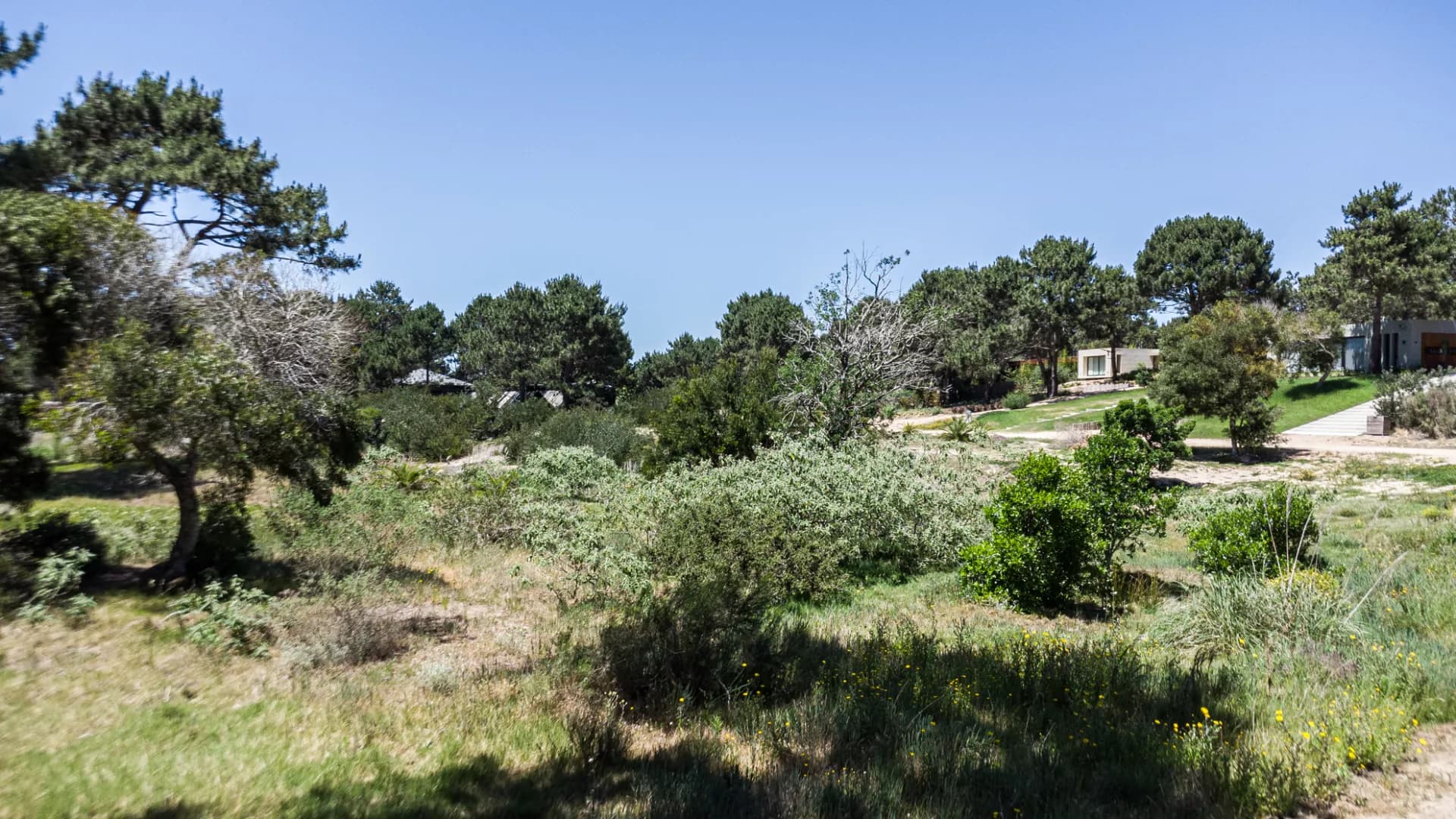 LED11 - Terreno - Laguna Escondida