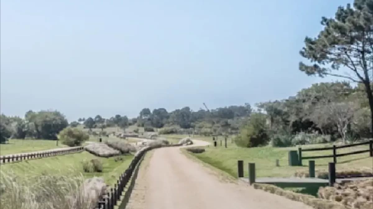 Alrededores