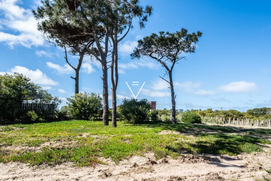 VF-Pinar-del-Faro-7