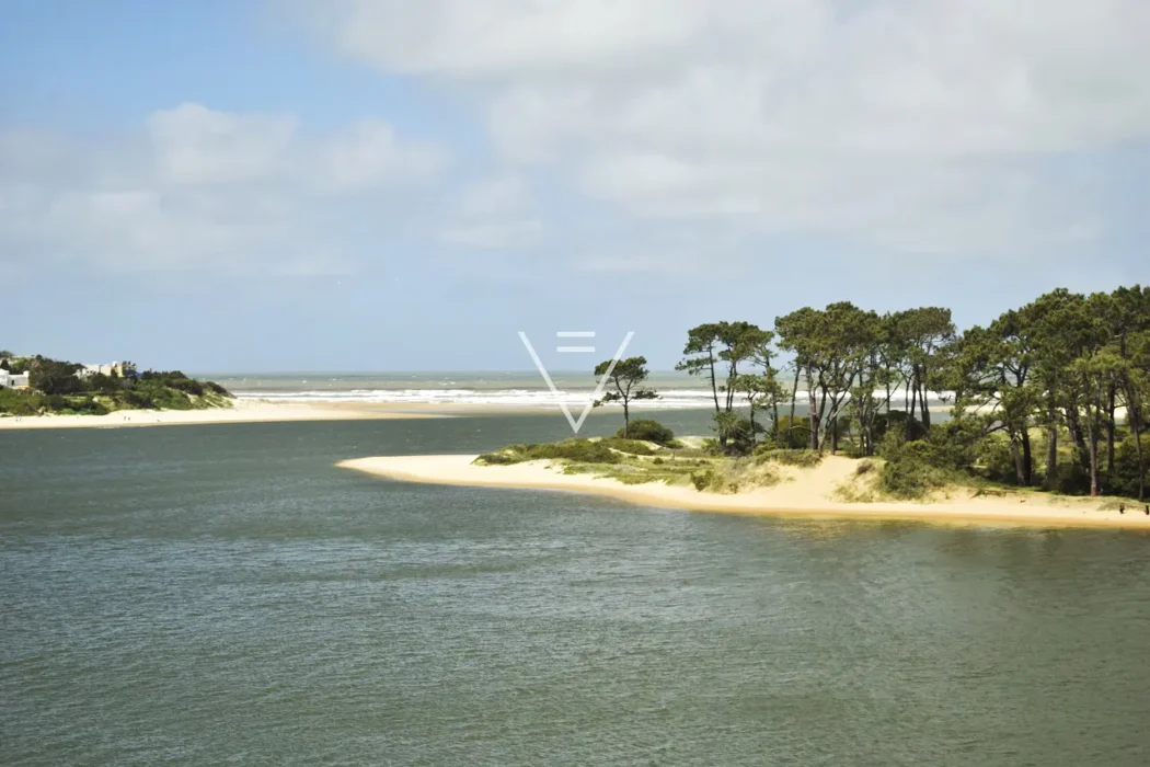 fotos-con-marca9JPG9_DSC7590