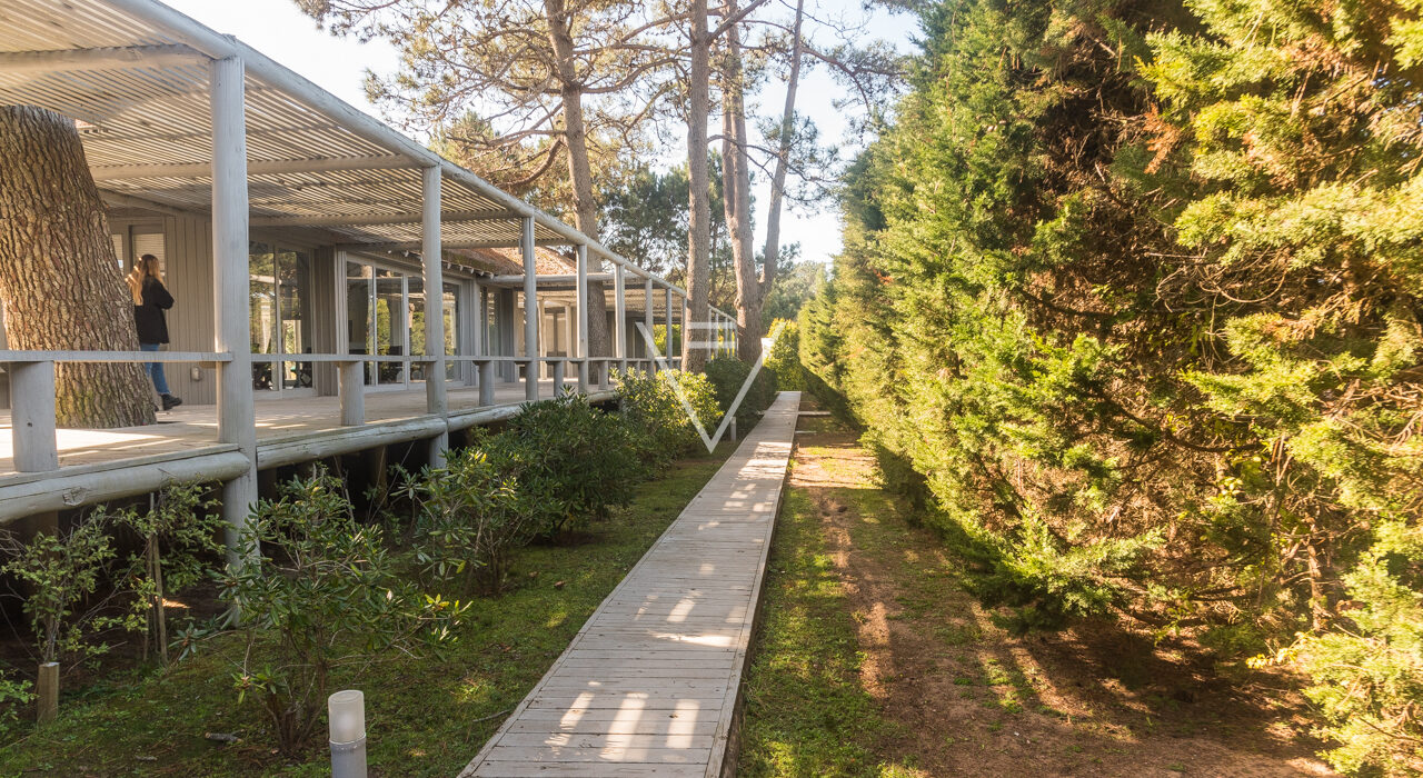 VF Pinar del Faro areas comunes-6