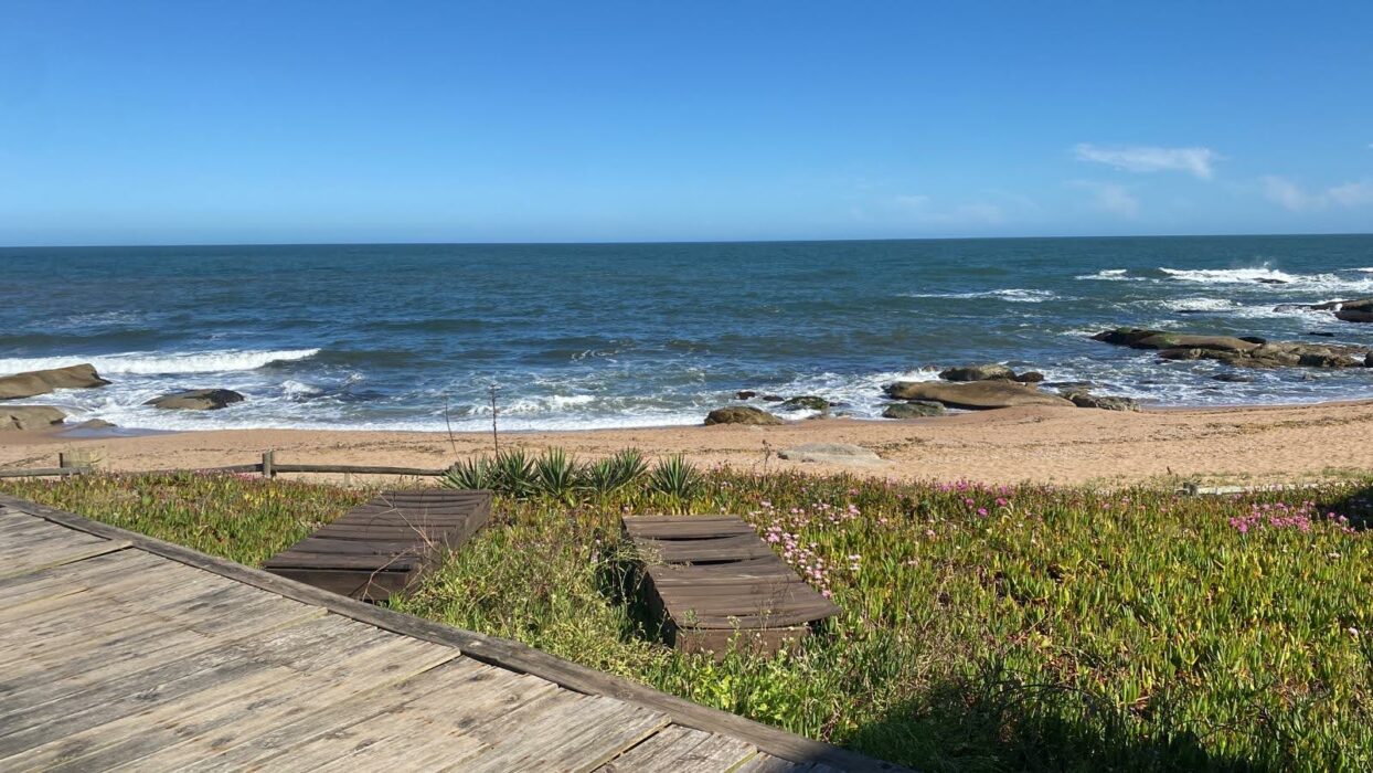 7712bd99-7383-4fe6-b949-a56be68b8e57