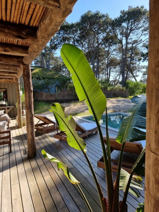 WhatsApp Image 2022-05-11 at 4.07.29 PM