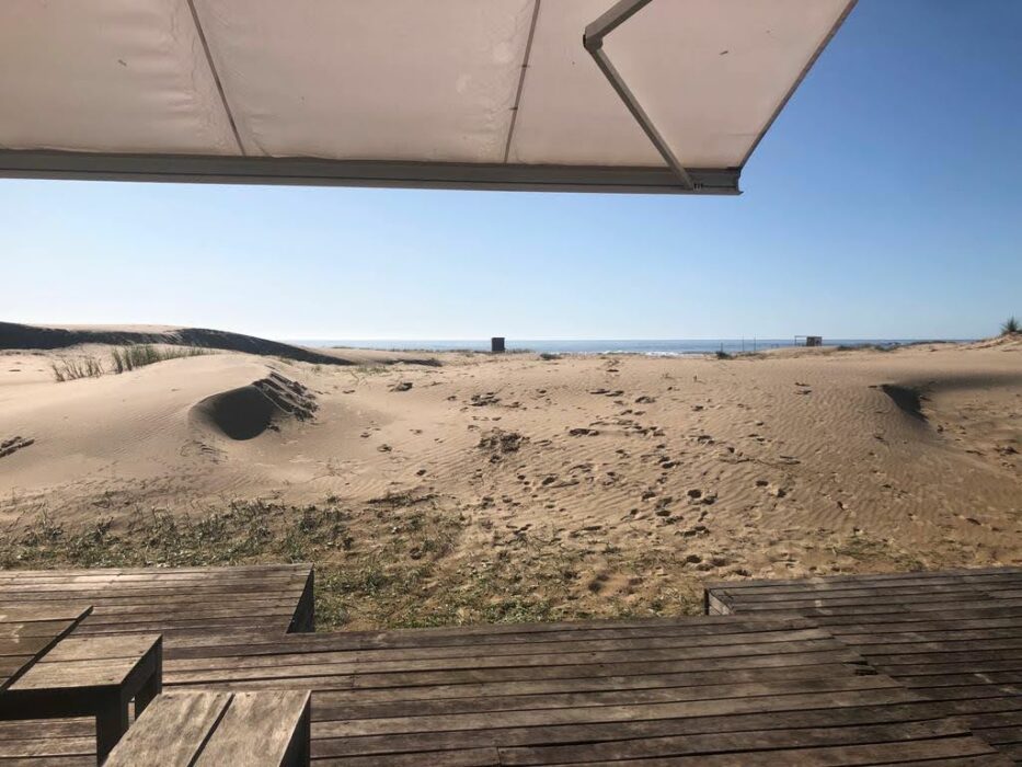 WhatsApp Image 2022-09-01 at 11.43.36 AM (1)