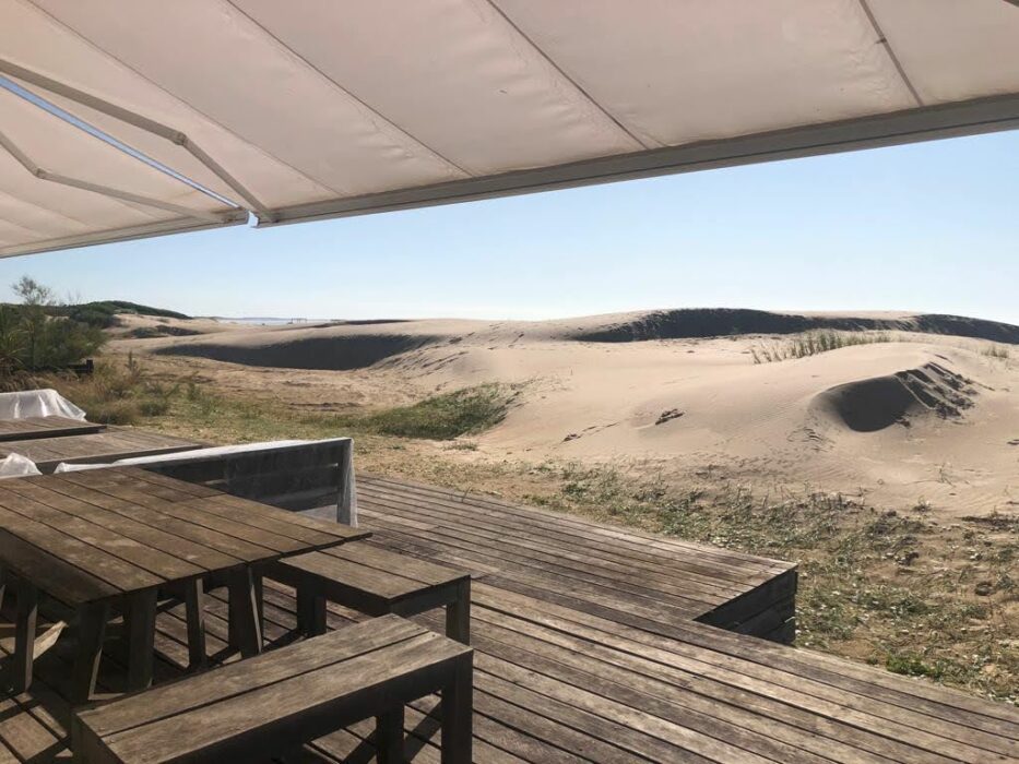 WhatsApp Image 2022-09-01 at 11.43.36 AM (2)