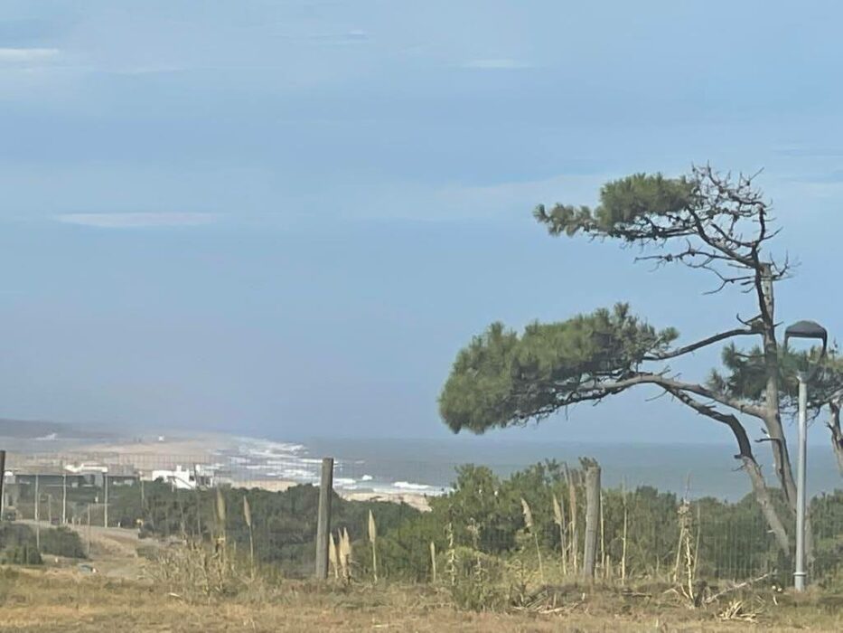 b7de52b4-8278-4e71-b6a0-51f2acd36c7a