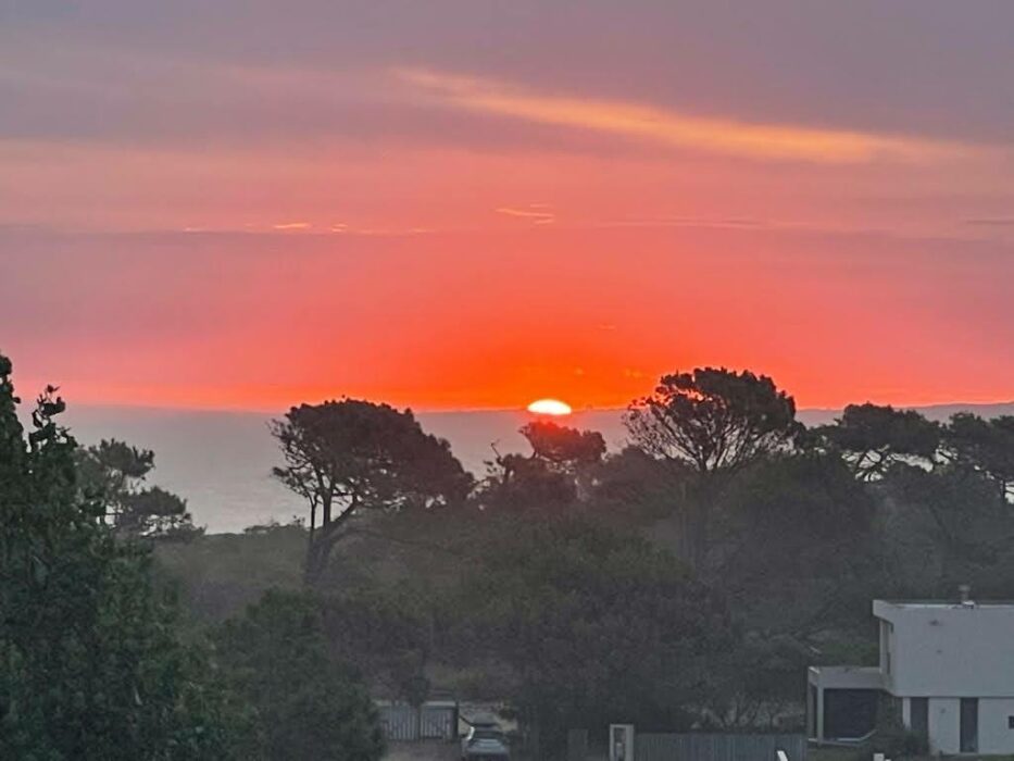 d6924c32-9c19-4dc1-a863-47d236d5efda