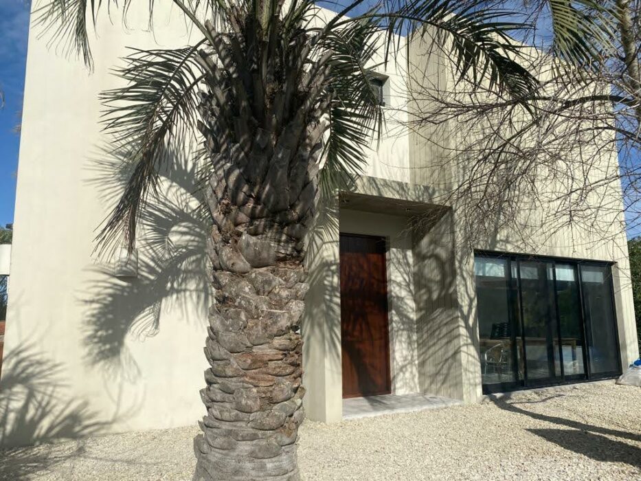 WhatsApp Image 2022-08-16 at 4.07.19 PM (1)