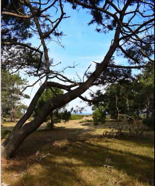 Imagen de WhatsApp 2025-07-23 a las 21.30.43_02b316f5