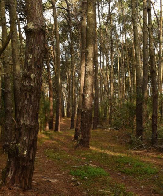 Imagen de WhatsApp 2025-07-23 a las 21.30.43_152354cb