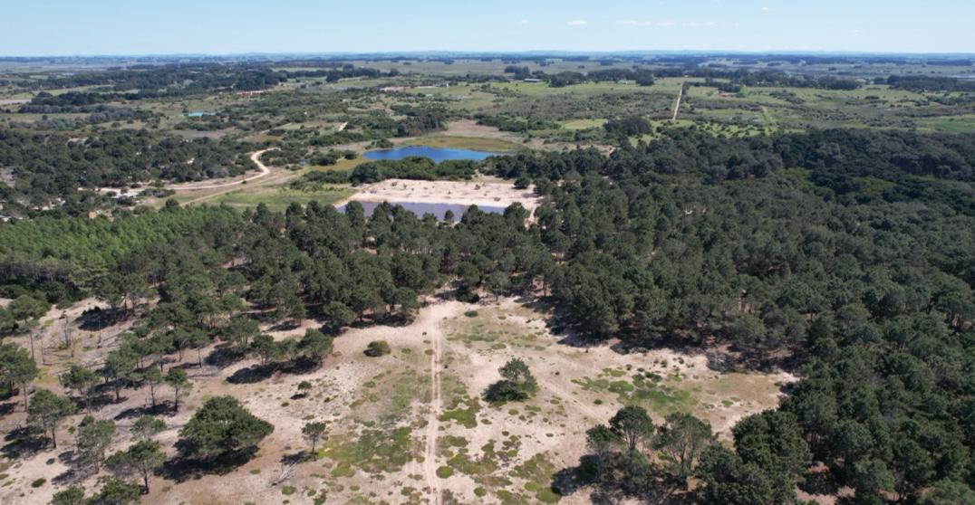 Imagen de WhatsApp 2025-07-23 a las 21.30.43_17f4d8f0