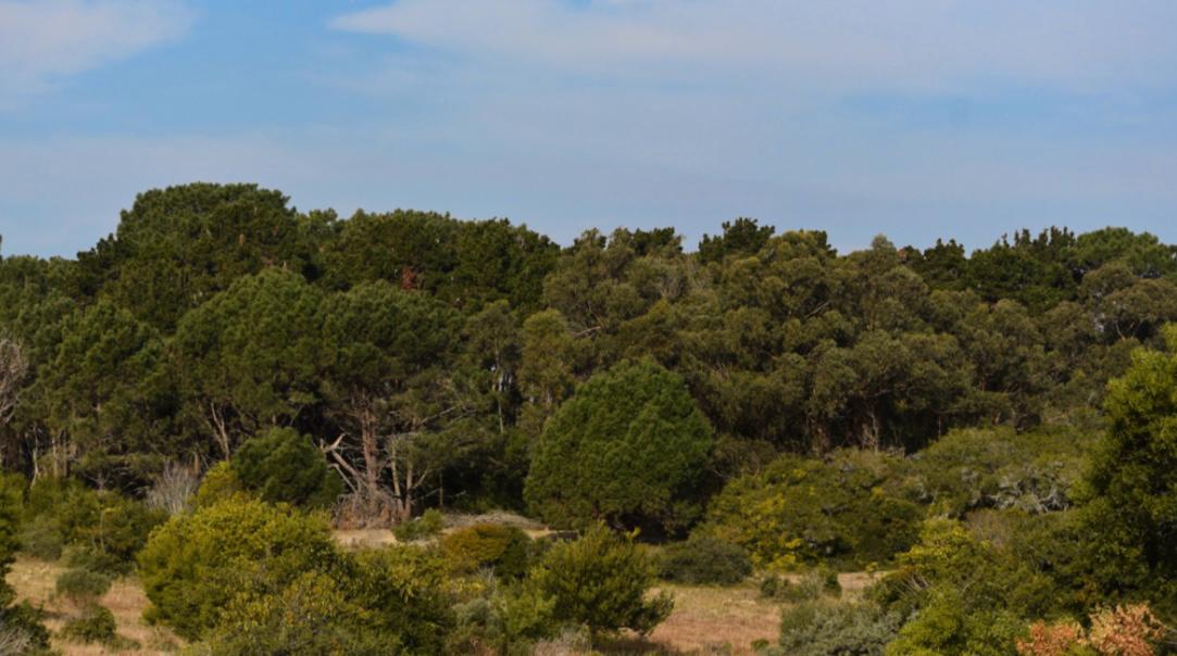 Imagen de WhatsApp 2025-07-23 a las 21.30.43_3af8a5b8