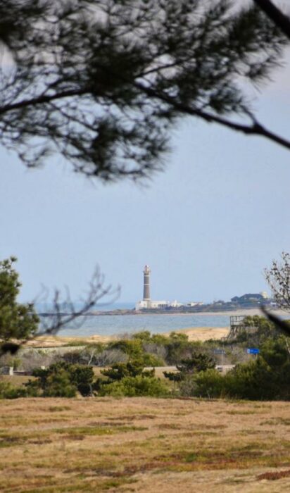 Imagen de WhatsApp 2025-07-23 a las 21.30.43_514cbb44