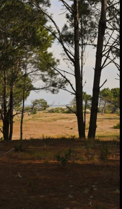 Imagen de WhatsApp 2025-07-23 a las 21.30.43_7444fb0d