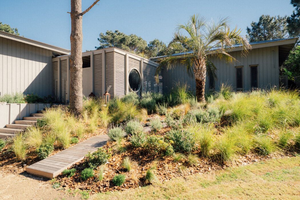 pinar del faro PFP6-80