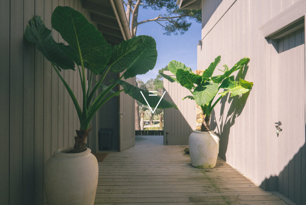 5cd100d4199bf75133188ff16c5c92c0