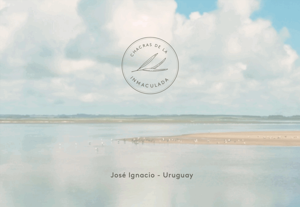 Captura de pantalla 2025-11-04 a las 10.54.21 a. m.