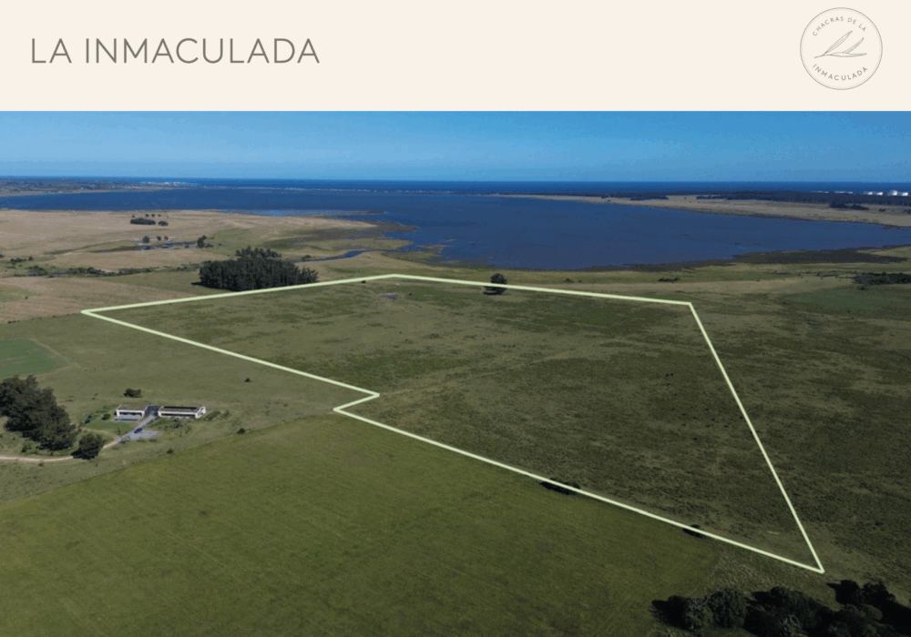 Captura de pantalla 2025-11-04 a las 10.54.33 a. m.