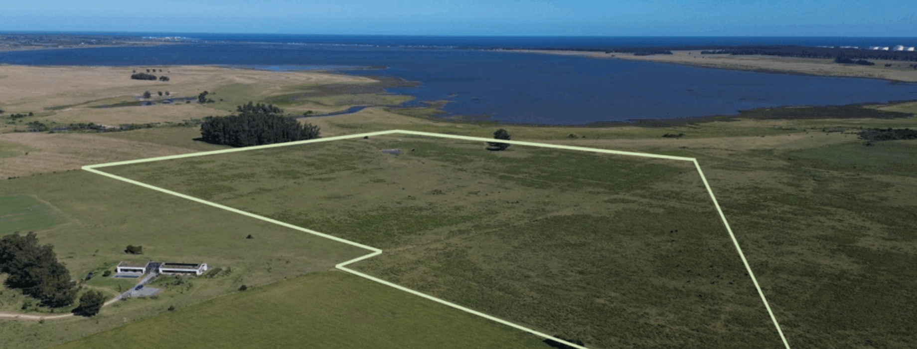 Captura de pantalla 2025-11-04 a las 10.54.33 a. m.