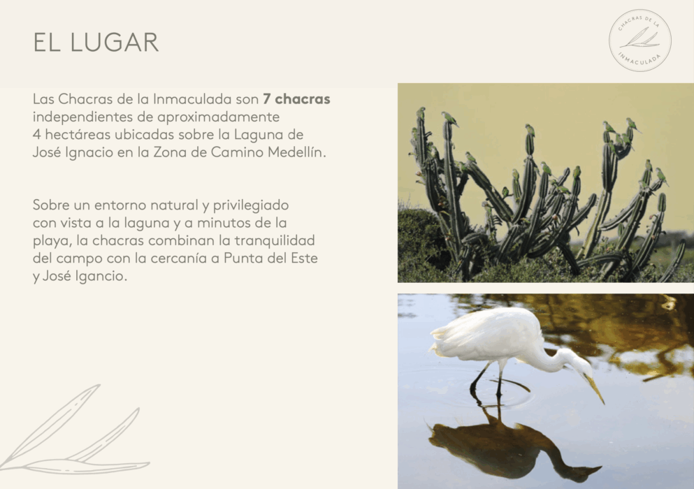 Captura de pantalla 2025-11-04 a las 10.54.53 a. m.