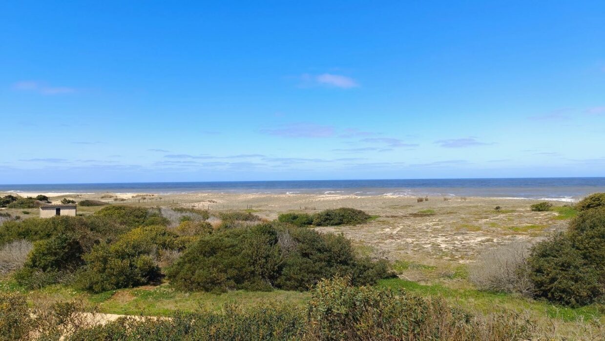 WhatsApp Image 2025-11-28 at 3.04.20 PM-3