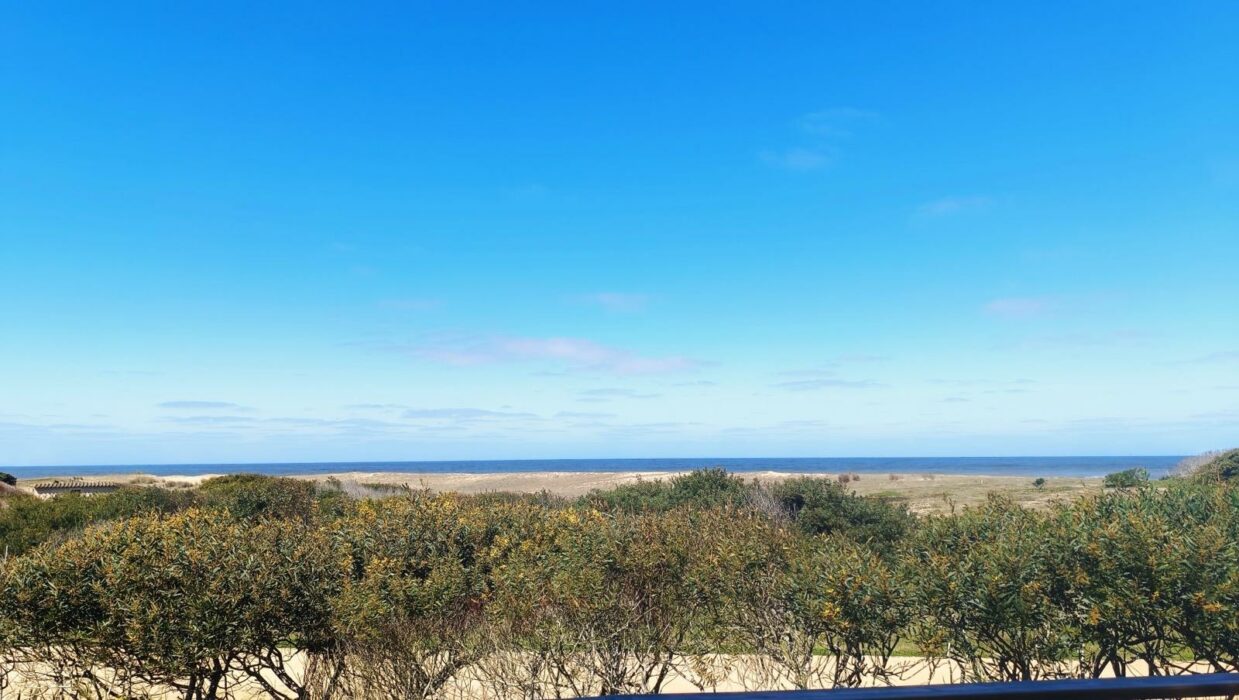 WhatsApp Image 2025-11-28 at 3.04.21 PM-4