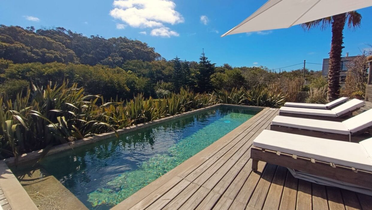 WhatsApp Image 2025-11-28 at 3.04.25 PM-3