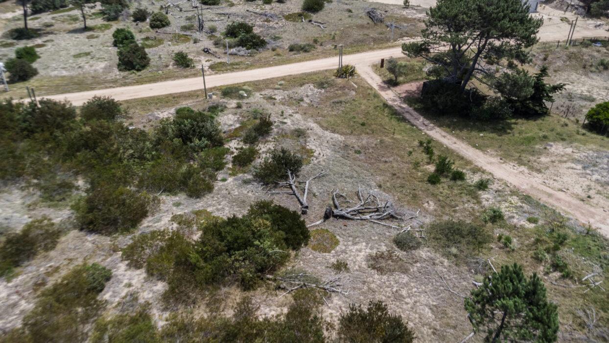 1a8d6cc2bb69bda7ae37fd81125d2f2e