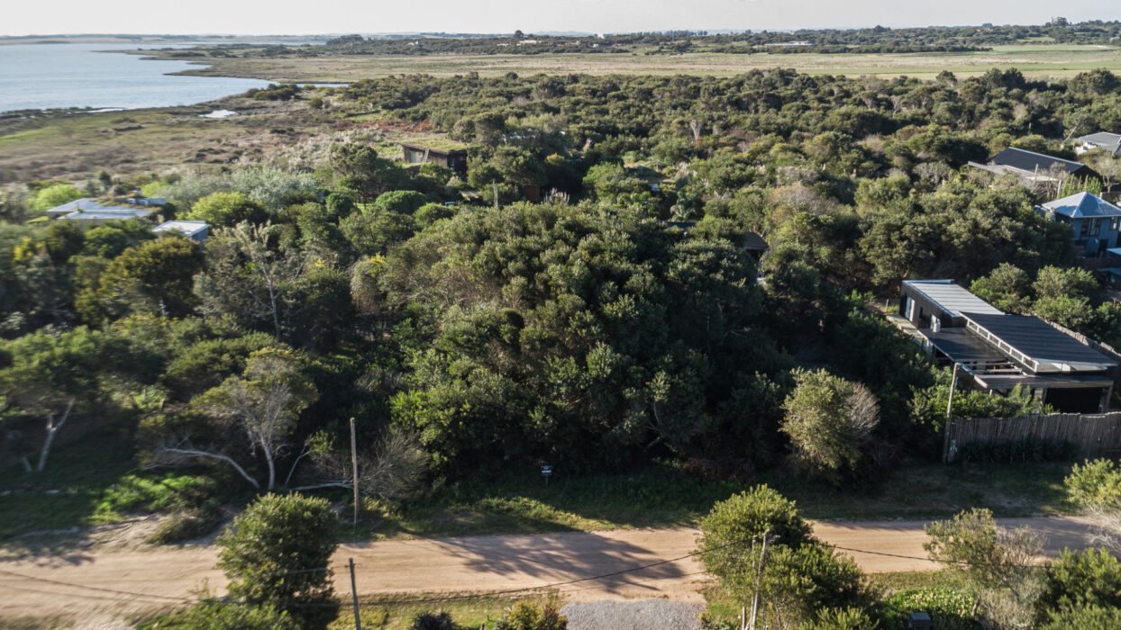 381e2f216b46384c331ea4341fcf3c28