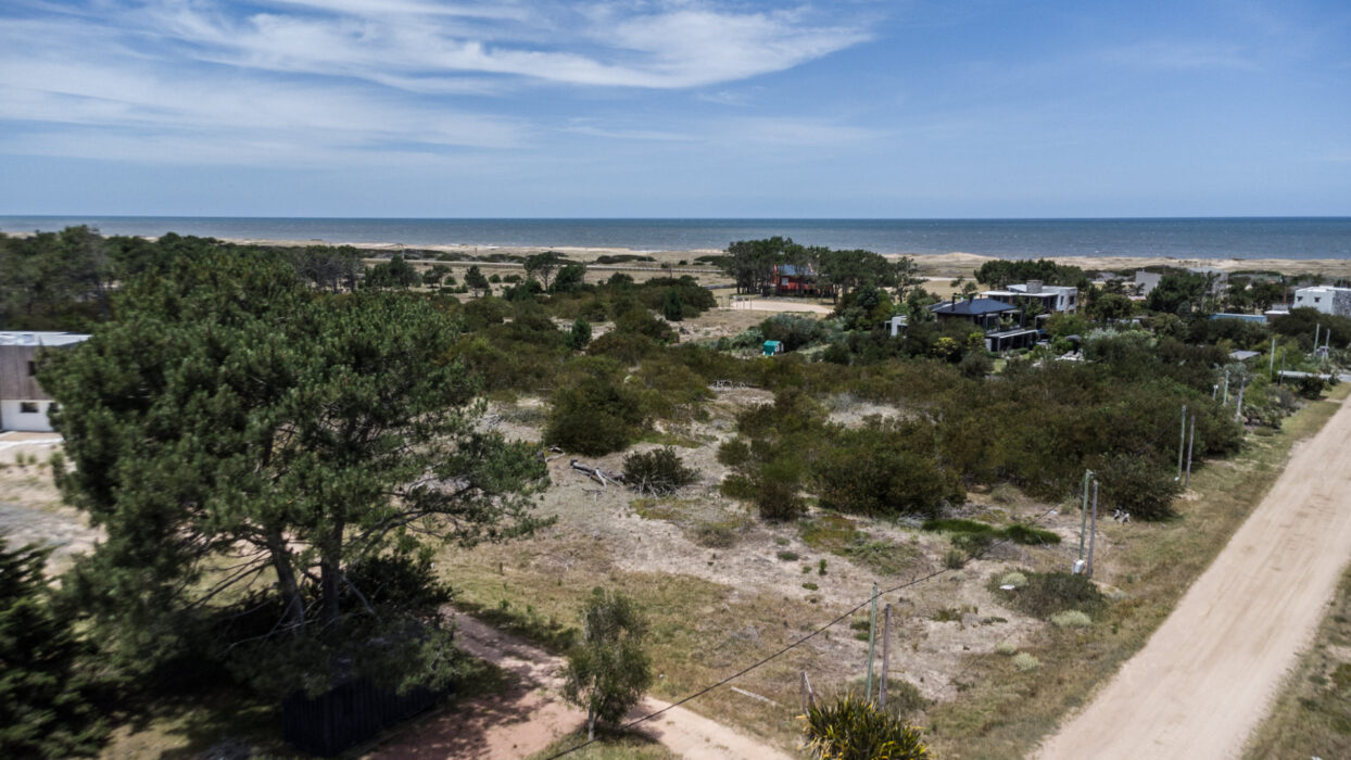 5014e8f0a9fb41dce3b043eb21a92872