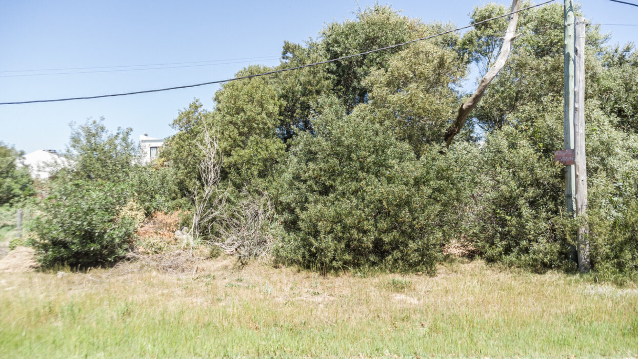 5e8d6f2eb4fc062e48d5eb4bfbd45fab