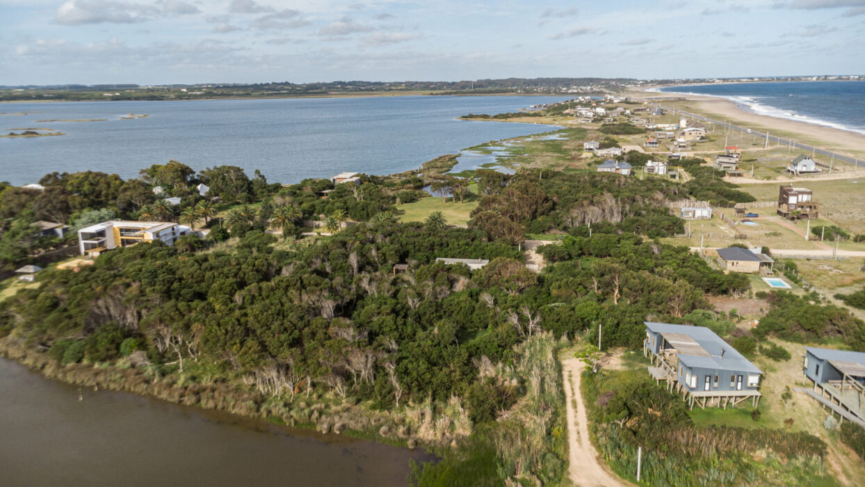 687309a6783b36c4b8d8d1a267a9bb56