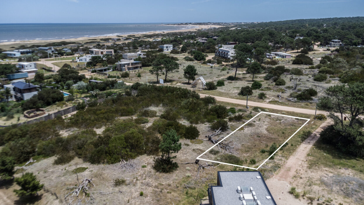 861d797b17cdc99e0a0f20bcf99595f3