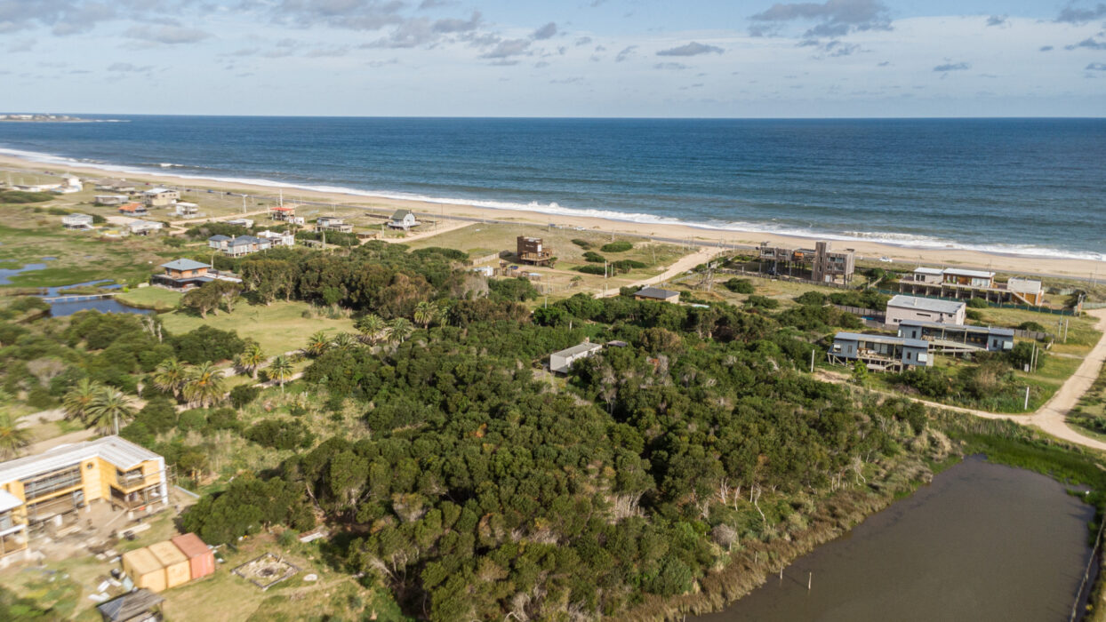 98a238cd1da0f580a95c3bd7972c1986