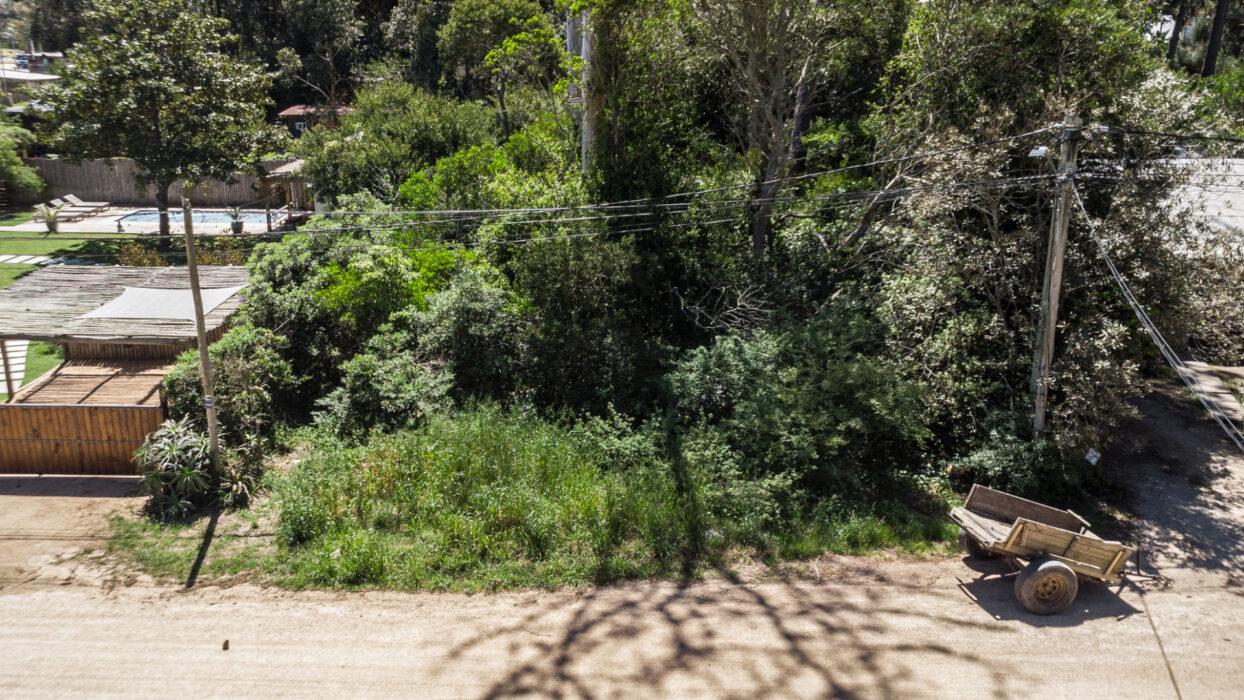 a826d1fd41d732c2c9659ab771edff24