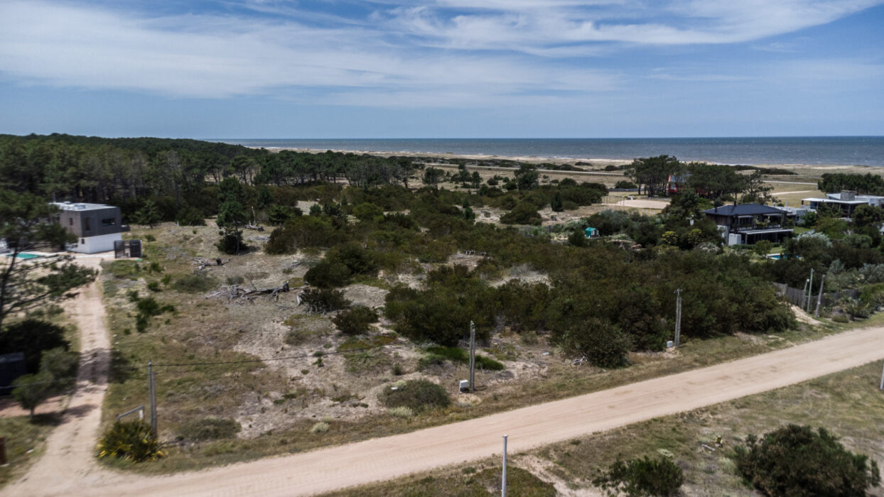 aa0eb1fe6537f8c9559d0832f4477368