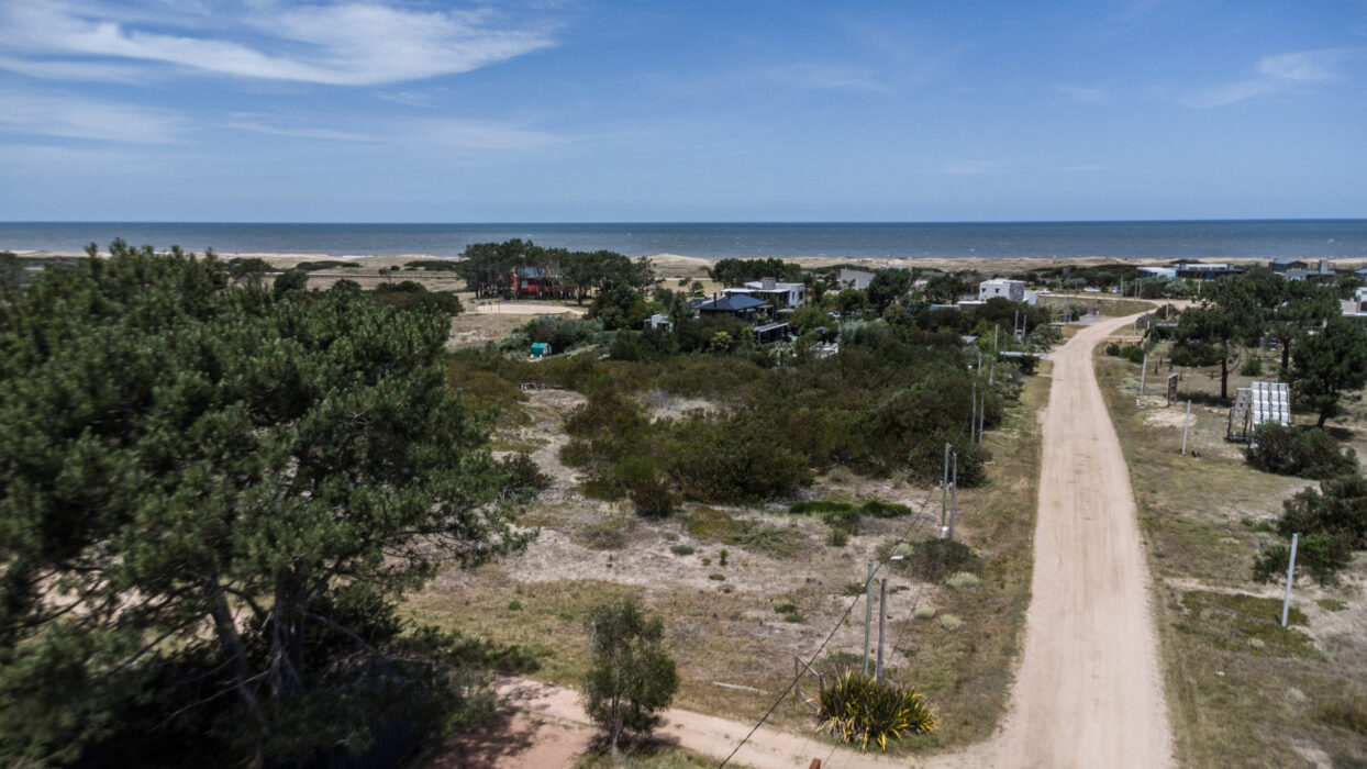 c341e9c4b41a06edcd6d6b6a335b0511