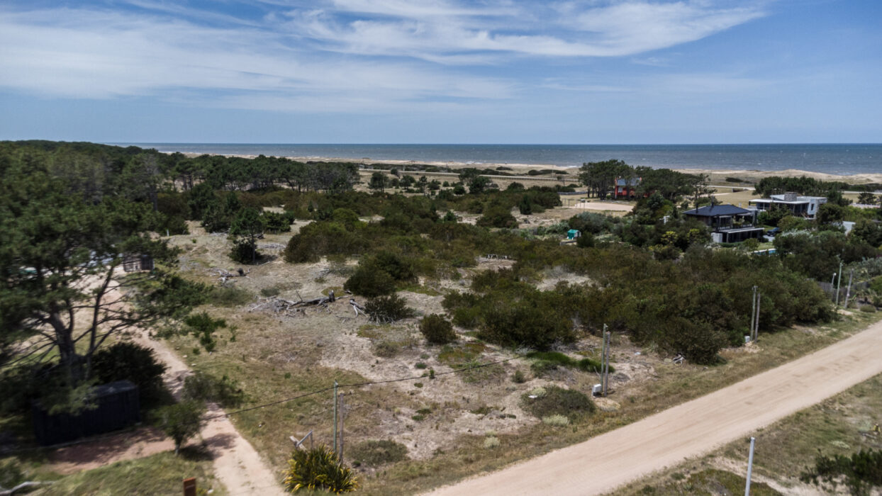 d125cd40466e7b355839197c1bbb7ce2