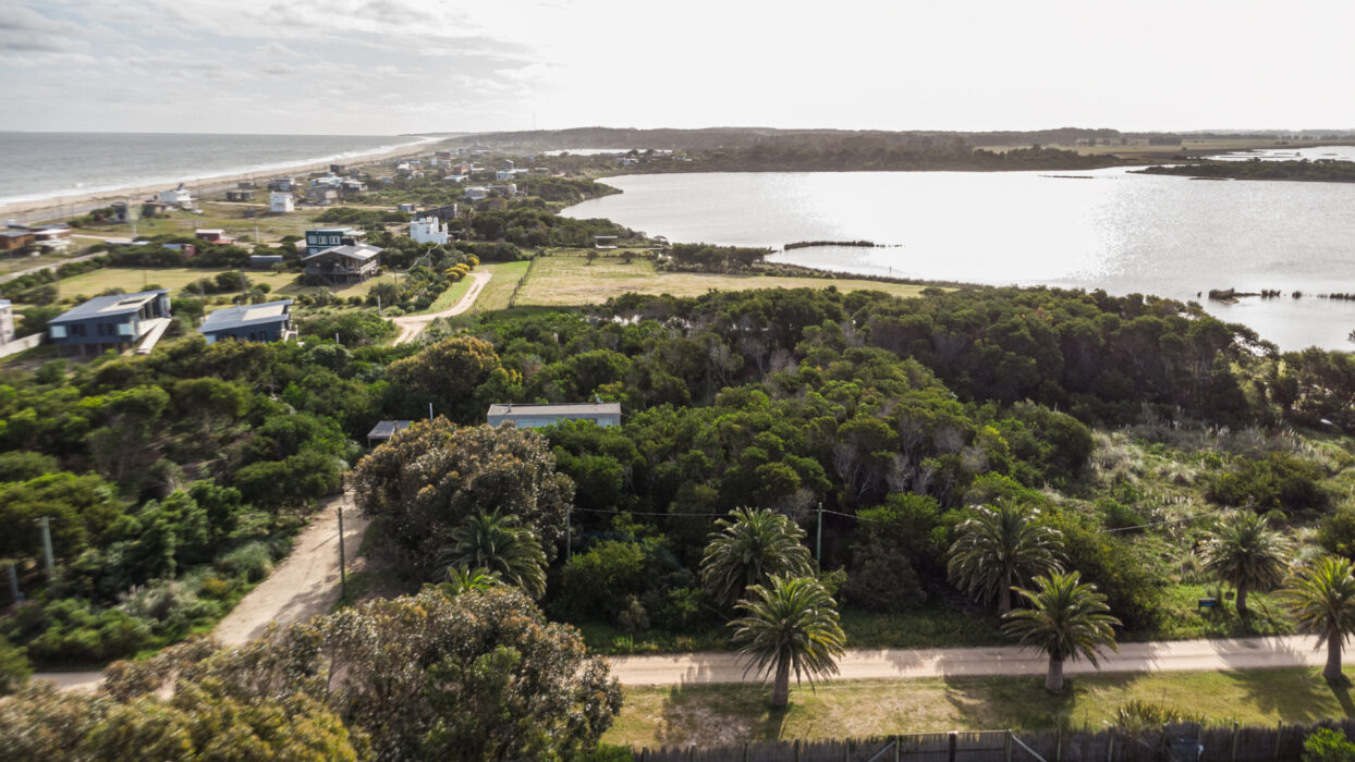 d5aafb55cf57392fbce11d319dab47c2