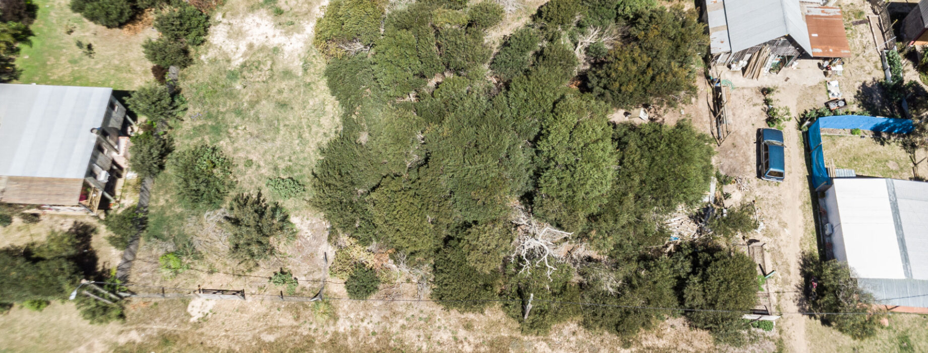 de68700d47801b378478588811f51bbb