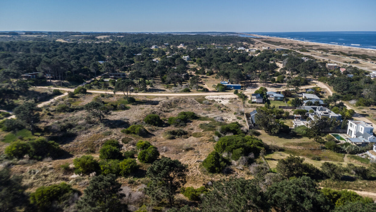 e07f39e83df59106698e434869a31ec1