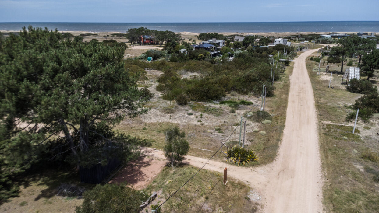 e3ddd701cbc8ad3cfd1a4367c818c5a1