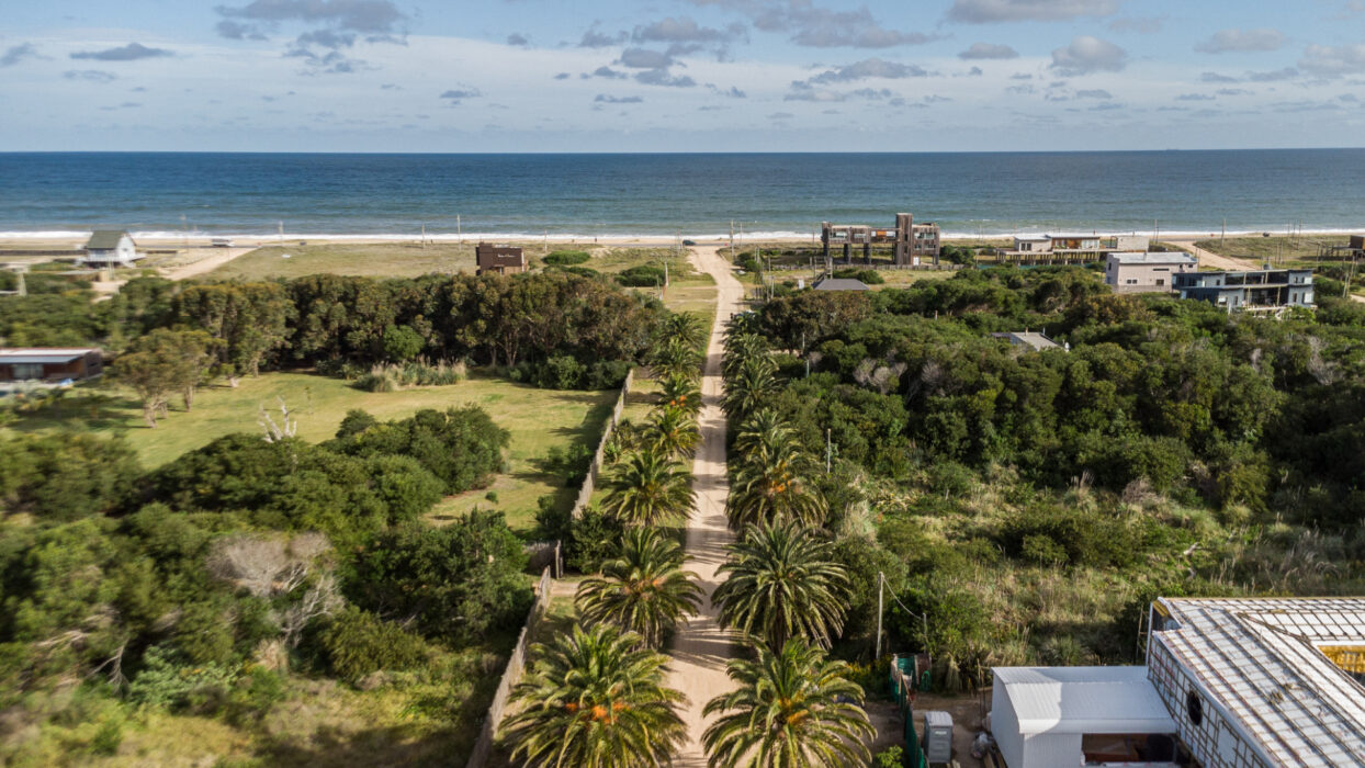 e49a7dff17c3f4fe882e9bff7fc3c919