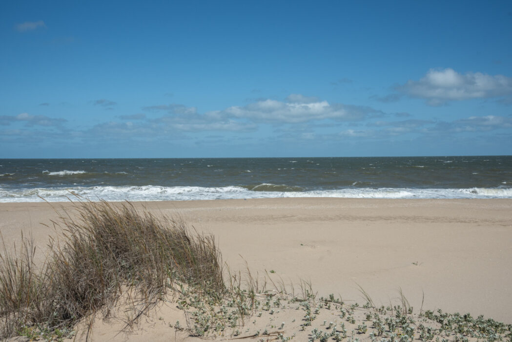 edc5627e60a158551f114351647ae7ef