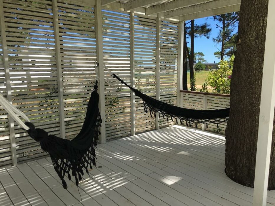 WhatsApp Image 2026-01-17 at 8.55.25 PM (1)