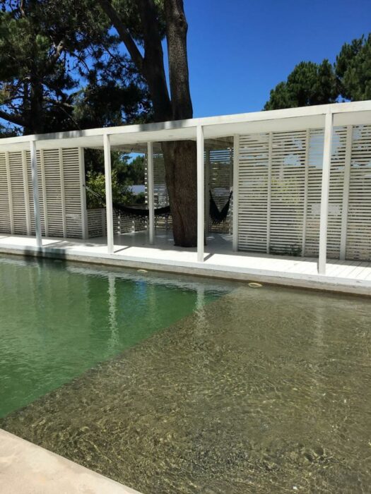 WhatsApp Image 2026-01-17 at 8.55.26 PM