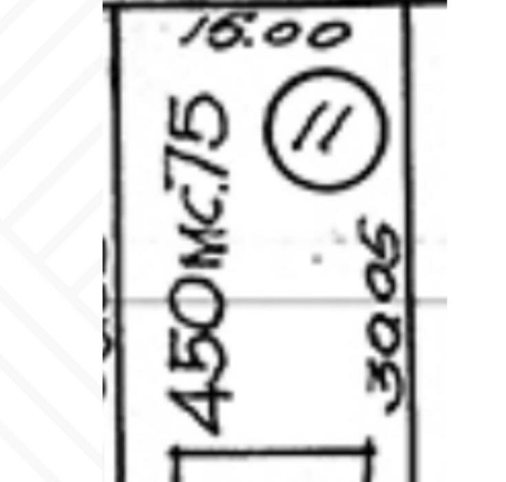 WhatsApp Image 2026-02-06 at 5.58.30 PM