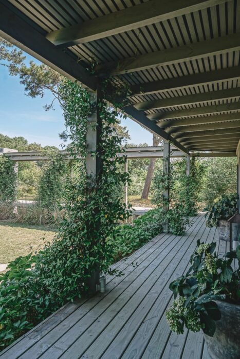 WhatsApp Image 2026-02-27 at 11.00.15 AM