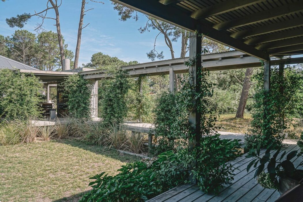 WhatsApp Image 2026-02-27 at 11.00.16 AM